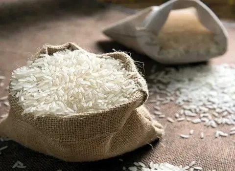 خرید و قیمت برنج هاشمی درجه 1 + فروش صادراتی